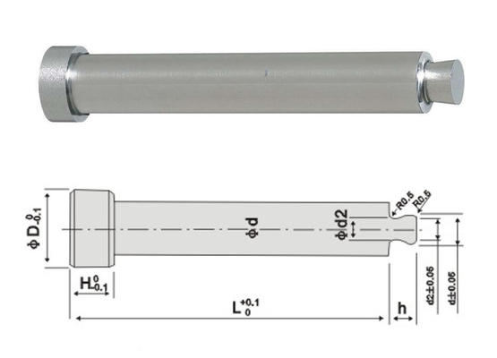 Les pièces en plastique de moulage par injection de Rlr Rht inclinent le type Pin d'extracteur de psilosis