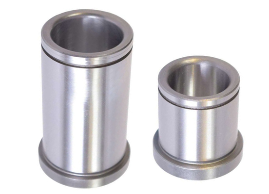 Noyau Pin Die Casting de goupilles et de bagues SUJ2 gigaoctet de guide d'AISI